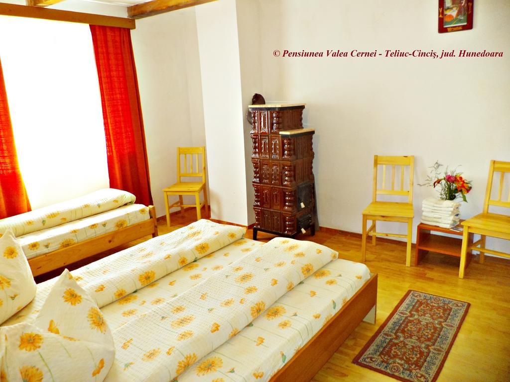 Pensiunea Valea Cernei Teliucu Inferior Room photo